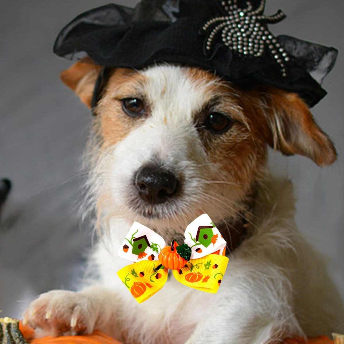 Cat Collar Necklace Fall Halloween Pet Bow Tie For Style D