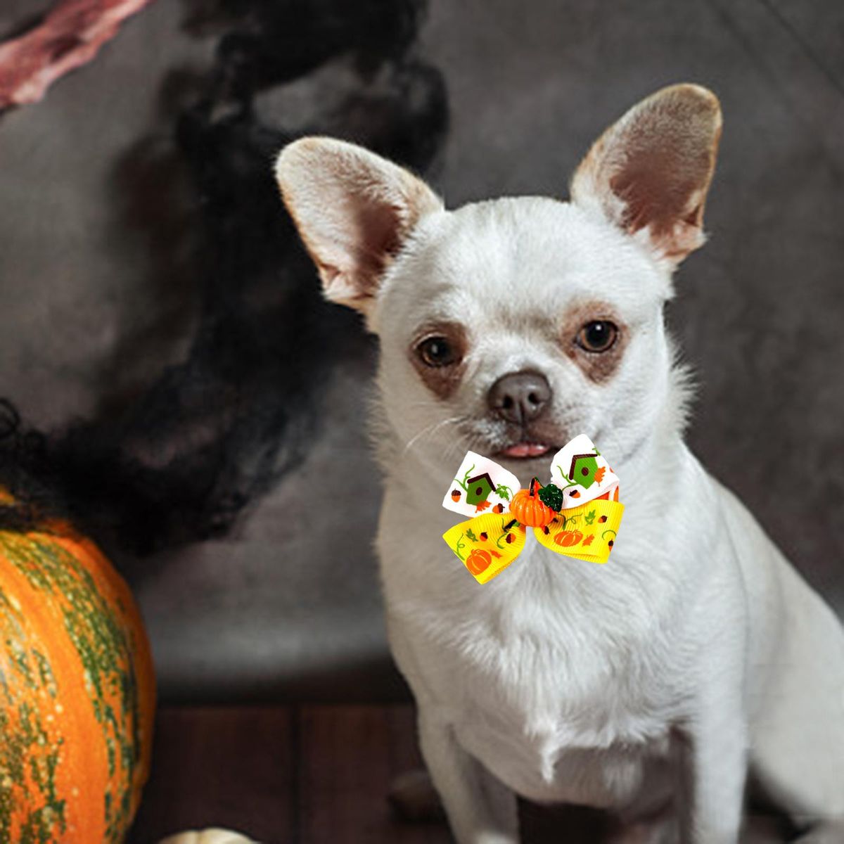 Cat Collar Necklace Fall Halloween Pet Bow Tie For Style D
