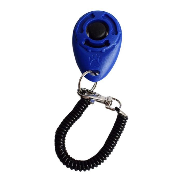 Puppy  Trainer Obedience  Wrist Is Introducing New Wearable Blue