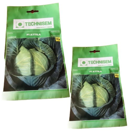 Hybrid Cabbage Seed (attila F1 ) -10g - 2 Packs