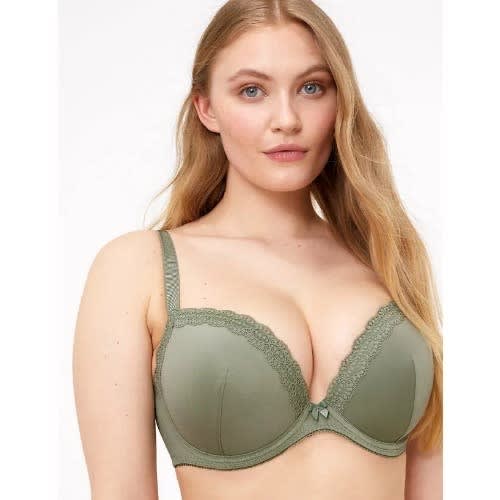 Women's Embroidered Padded Plunge Bras - 2pcs