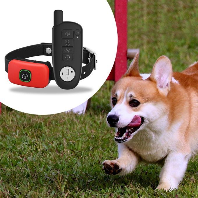 Pet Dog Training Shock Collar Remote Control Rechargeable  Red