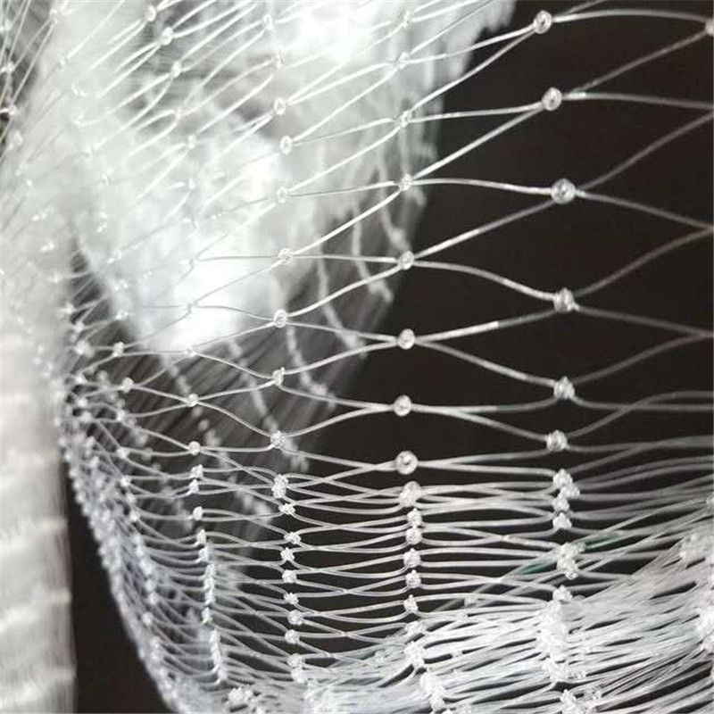 Transparent Preventing Anti Bird Net Nylon Lasting Netting