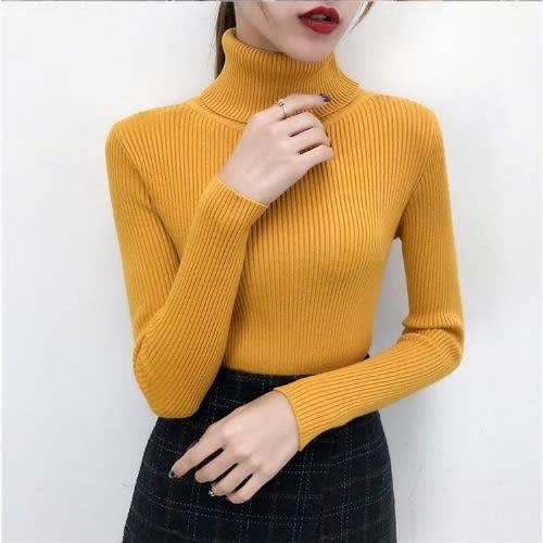 Ladies Turtleneck Top