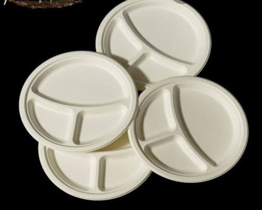 25pcs Party Disposable Plates - 3 Compartment