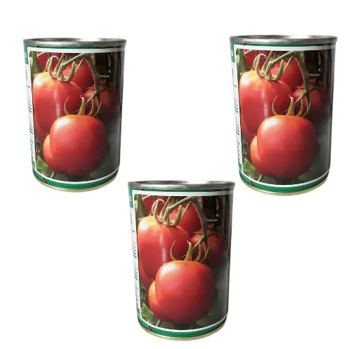 Technisem Hybrid Tomato Seeds -Cobra 26 F1 - 50g X 3 Tins