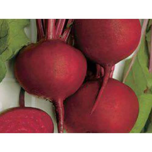 Beetroot Seeds -Detroit Dark Red - 10 Grams