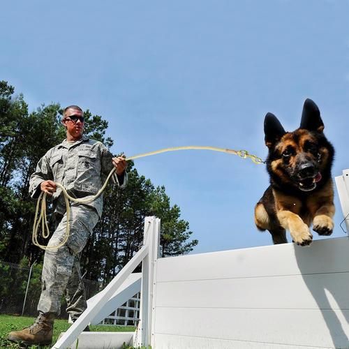 5m Nylon Dog Leash Running Tracking Non Slip Long Leads Nylon Training Walking Leads For Medium Large Dogs Heavy Duty