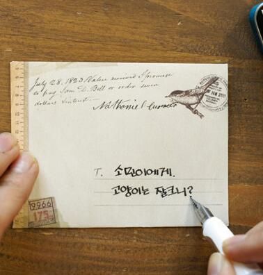 12 Pcs/lot Kraft Paper Envelope 12 Designs Cute Mi