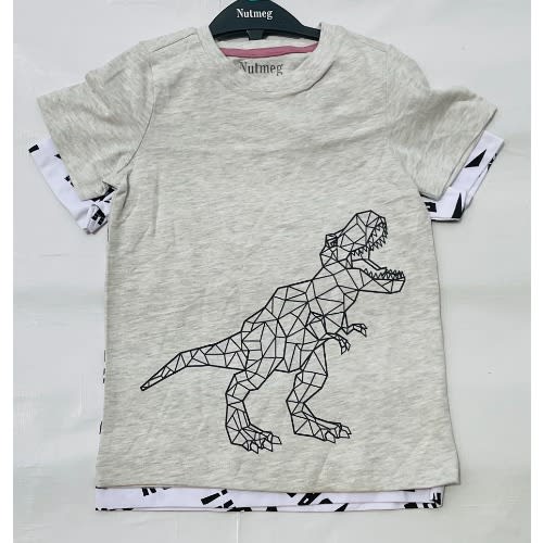 2pcs Dino Graphics Tees