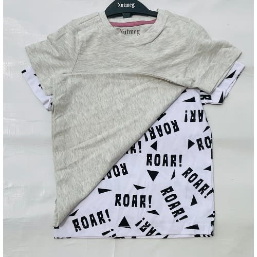 2pcs Dino Graphics Tees