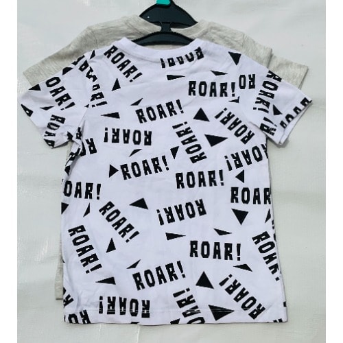 2pcs Dino Graphics Tees