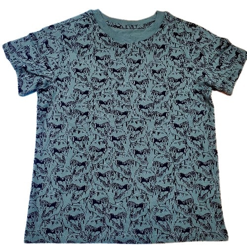 Boys Dino Print Tshirt
