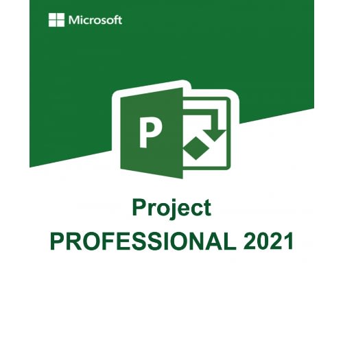 Project 2021 Professional