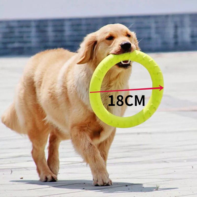 18CM Pet Flying Discs EVA Dog