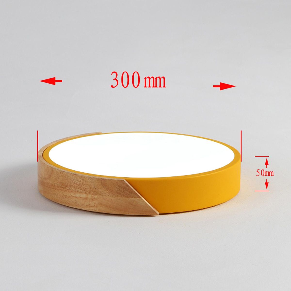 AC220-240V 24W  LED Round Circular Lamp Ceiling Light BT Connected Connection App Control with Remote Control for Aisle Stair Hallway Balcony Living Room Bedroom