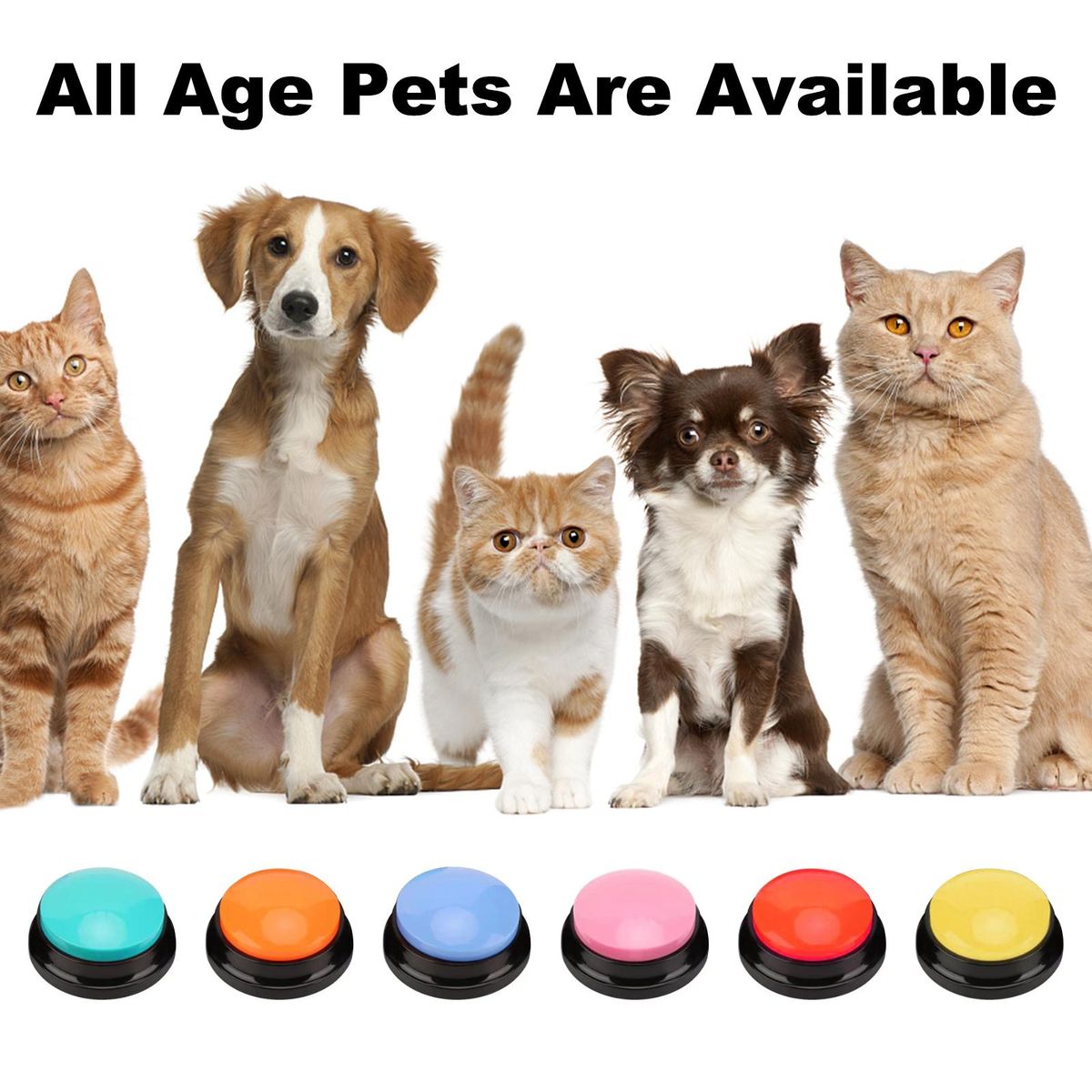 Dog Buttons Training Voice Recorder Squeeze Box Interactive Dog Communication Buttons Pet Training Toy Voice Dog Buttons