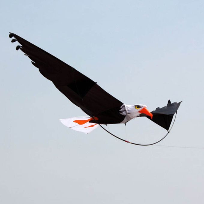 Flying Bird Eagle Kite Large Kite Fun Kites Outdoor Easy Flyer