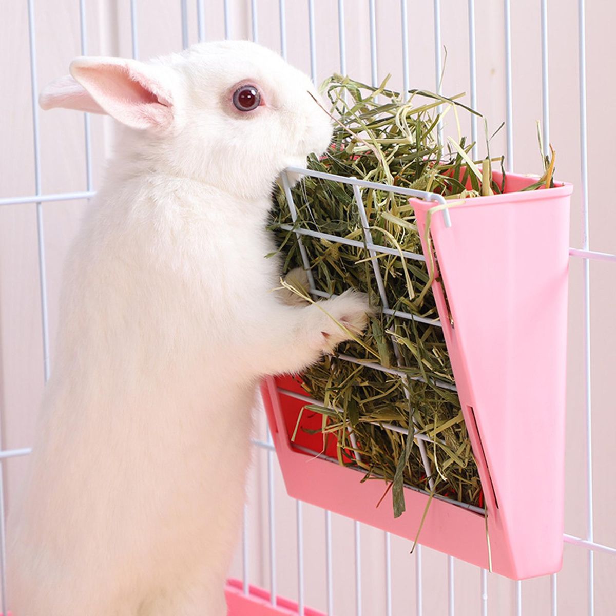 Rabbit Bunny Hay Feeder Cage  Manger  Pink