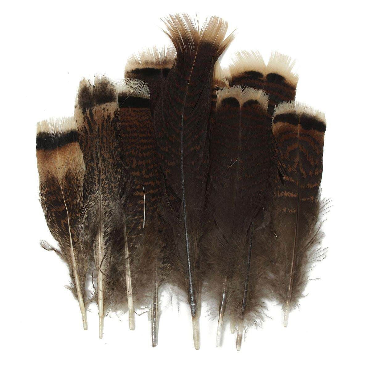 10 PCS Natural Precious Wild Turkey Tail Feathers 6-8 Inches / 15-20 Cm Decor