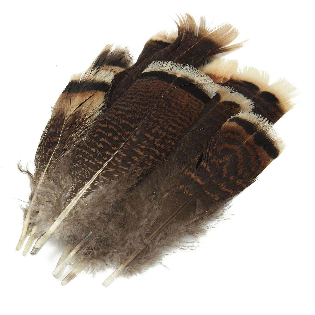 10 PCS Natural Precious Wild Turkey Tail Feathers 6-8 Inches / 15-20 Cm Decor