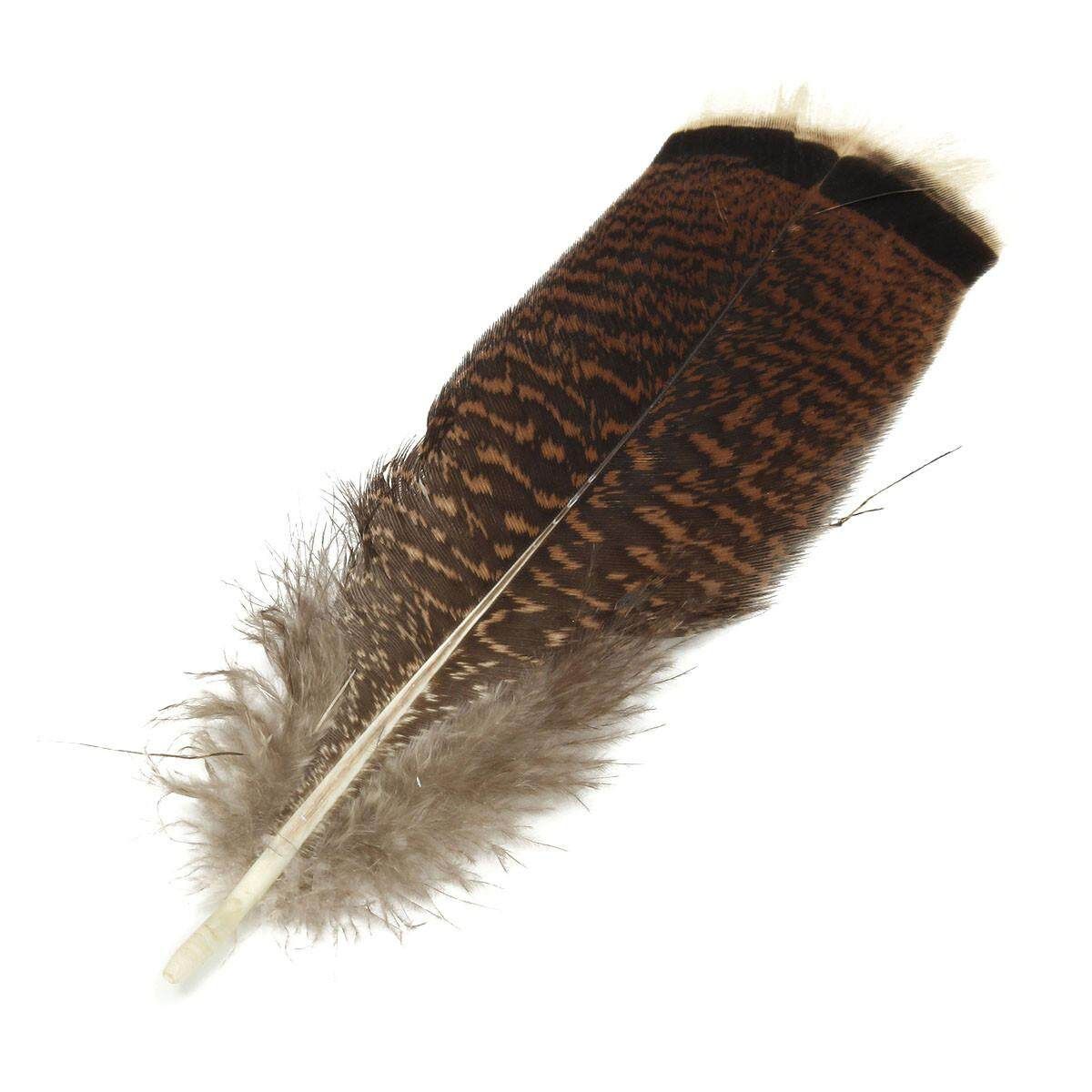 10 PCS Natural Precious Wild Turkey Tail Feathers 6-8 Inches / 15-20 Cm Decor