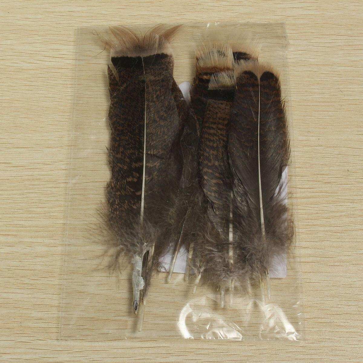 10 PCS Natural Precious Wild Turkey Tail Feathers 6-8 Inches / 15-20 Cm Decor