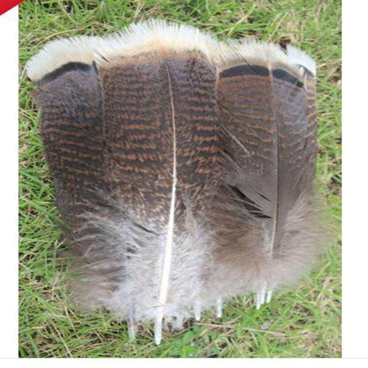 10 PCS Natural Precious Wild Turkey Tail Feathers 6-8 Inches / 15-20 Cm Decor