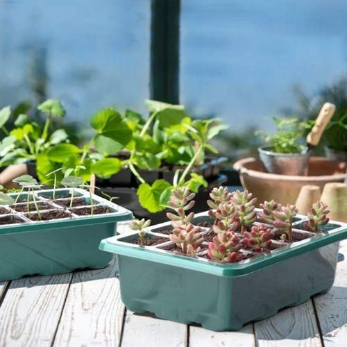 10Pcs Seed Starter Trays Box Humidity Adjustable