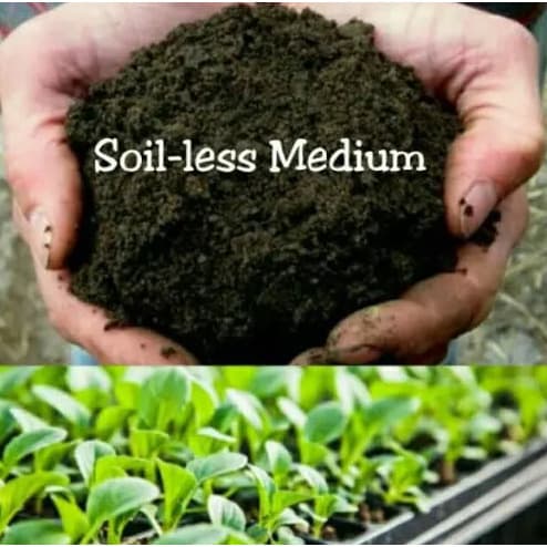 Multipurpose Potting Soil - 20 Litres