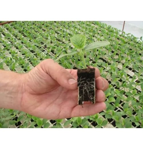 Multipurpose Potting Soil - 20 Litres