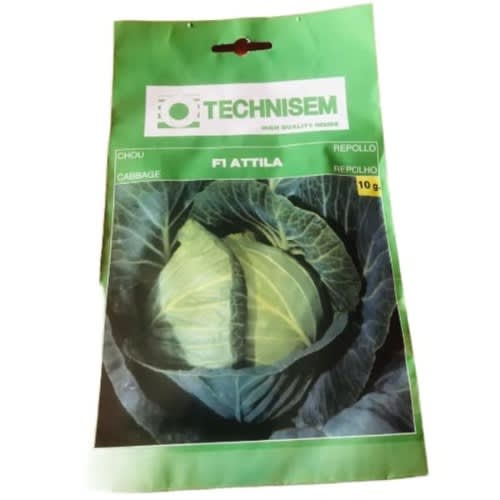 Hybrid Cabbage Seed (attila F1 ) -10g