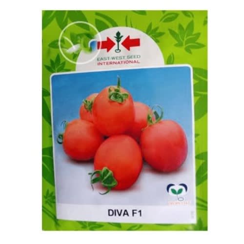 East-West Hybrid Tomato Seeds (diva F1) - 5g