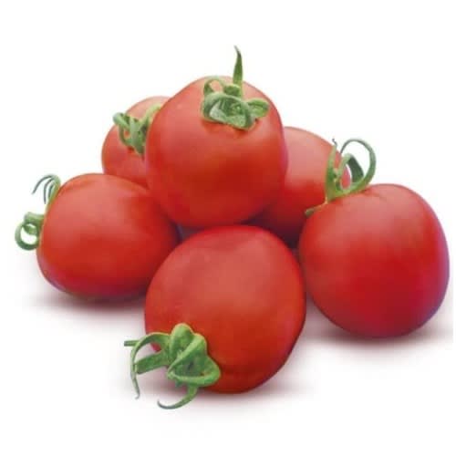 East-West Hybrid Tomato Seeds (diva F1) - 5g