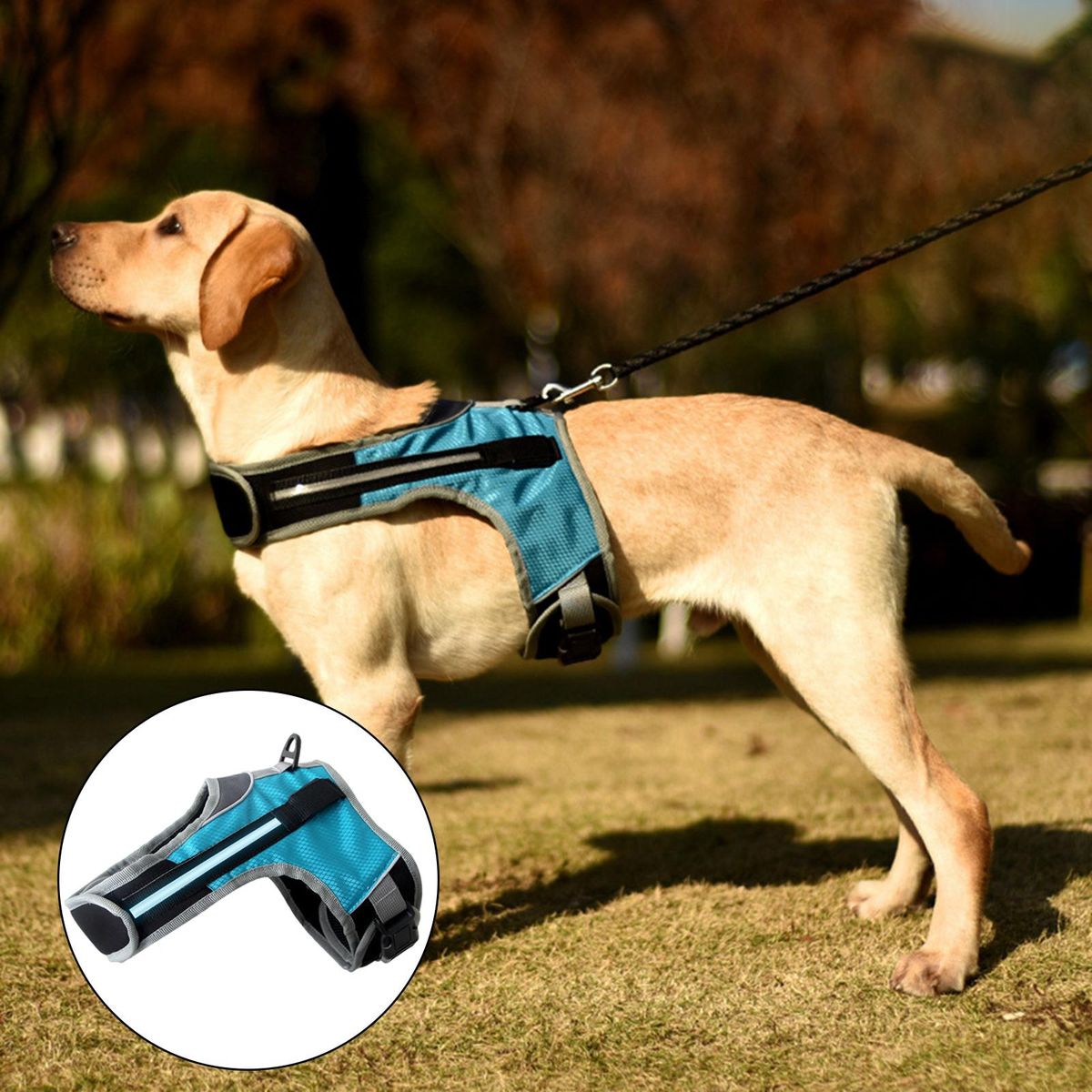 LED Luminous Dog Harness S M L XL Lightweight Adjustable Straps Bule S