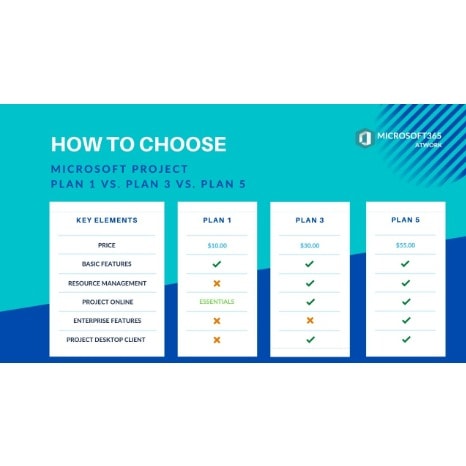 Project Plan 5 - 5 - 20 Users - 1 Year