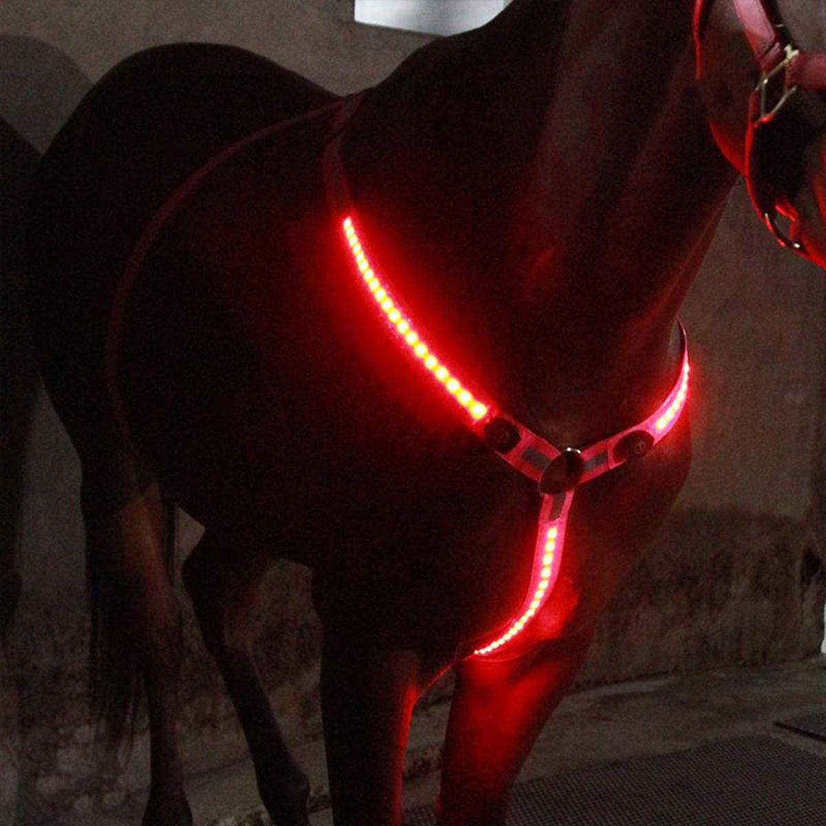 Bright LED Horse Breastplate Collar Halter Chest Pink