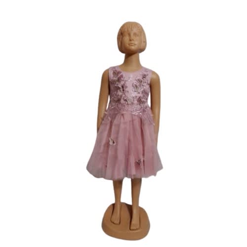 Girl's Butterfly Designed Ball Gown - Pink