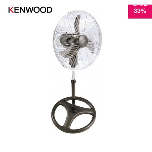Standing Fan If550