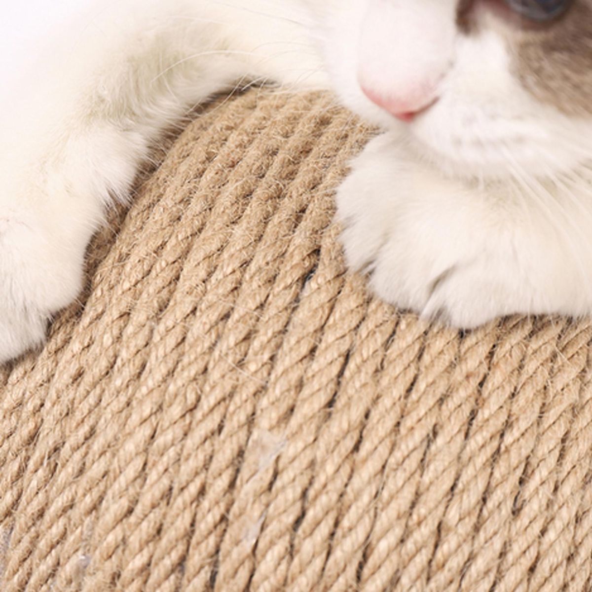 Cat Scratching Board Cat Toys Wooden Cat Scratching Balls Grind Claw Scratching Board Hand Wrapped Sisal Rope Ball Cat Climbing Frame Durable Cat Scratching Post Pet Supplies