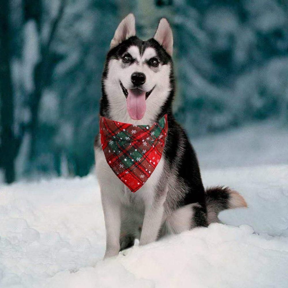 Red and Green Snowflake Pet Dog Neck Scarf Adjustable