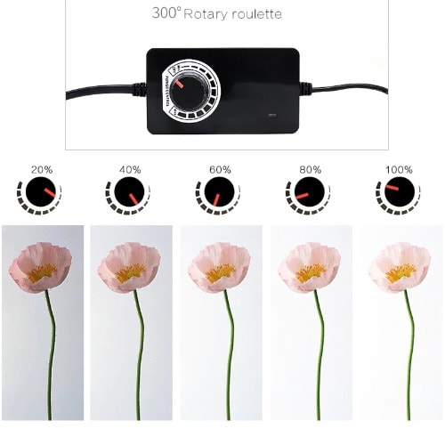 Pro Photo Studio Softbox Shooting Light Tent