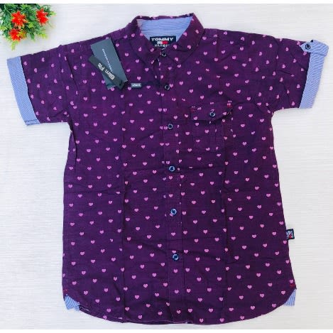 Boys Button Down Short Sleeve Shirt- Purple Print