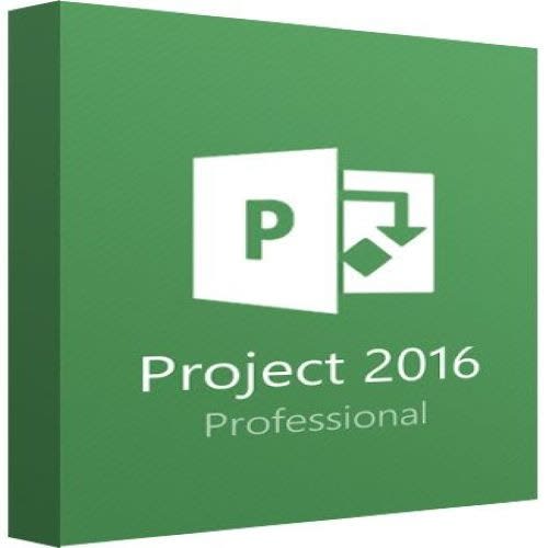 Project 2016 Professional