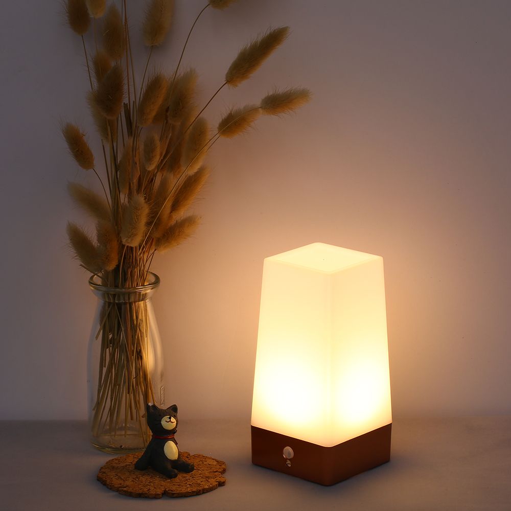 Desktop PIR Motion Sensor LED Night Light Portable Battery