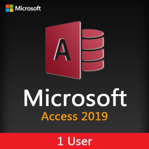 Access 2019 License