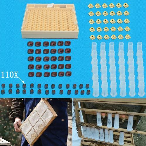 Complete Queen Rearing System Bee Catcher Cage Beekeeping+110 Cell Cups Tool Kit