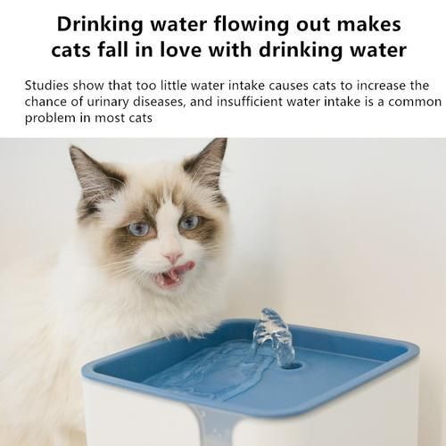 AutomaticPet Cat Water Dispenser Feeding Water Flowing Fountain Cat Drinking Bowl Electric Water Dispenser For Cat Dog