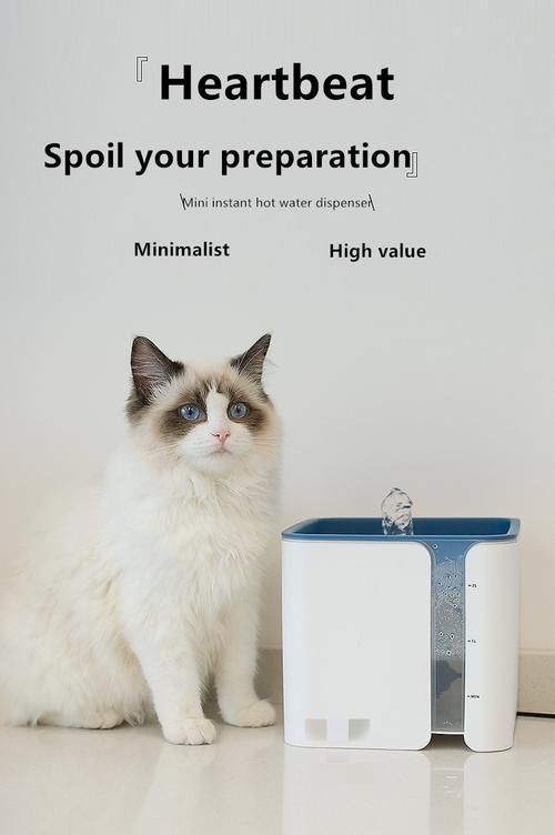 AutomaticPet Cat Water Dispenser Feeding Water Flowing Fountain Cat Drinking Bowl Electric Water Dispenser For Cat Dog