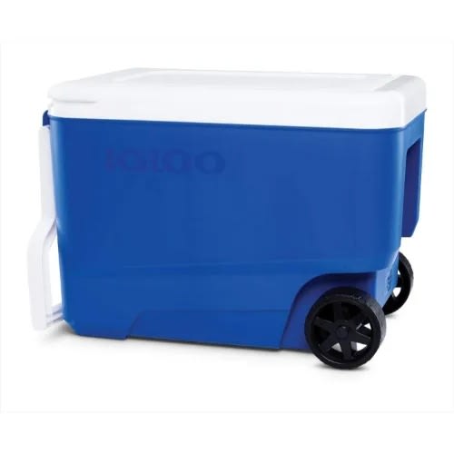 Cooler